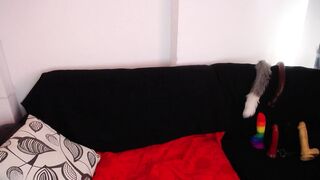 bunny_hott Webcam Porn Video [Stripchat] - kissing, cheapest-privates, medium, couples, housewives