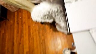 vividdesires New Porn Video [Chaturbate] - german, pov, biglegs, muscle, tights
