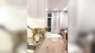 Watch BestVirt Cam Porn Video [Stripchat] - russian-young, middle-priced-privates-best, squirt, pov, erotic-dance