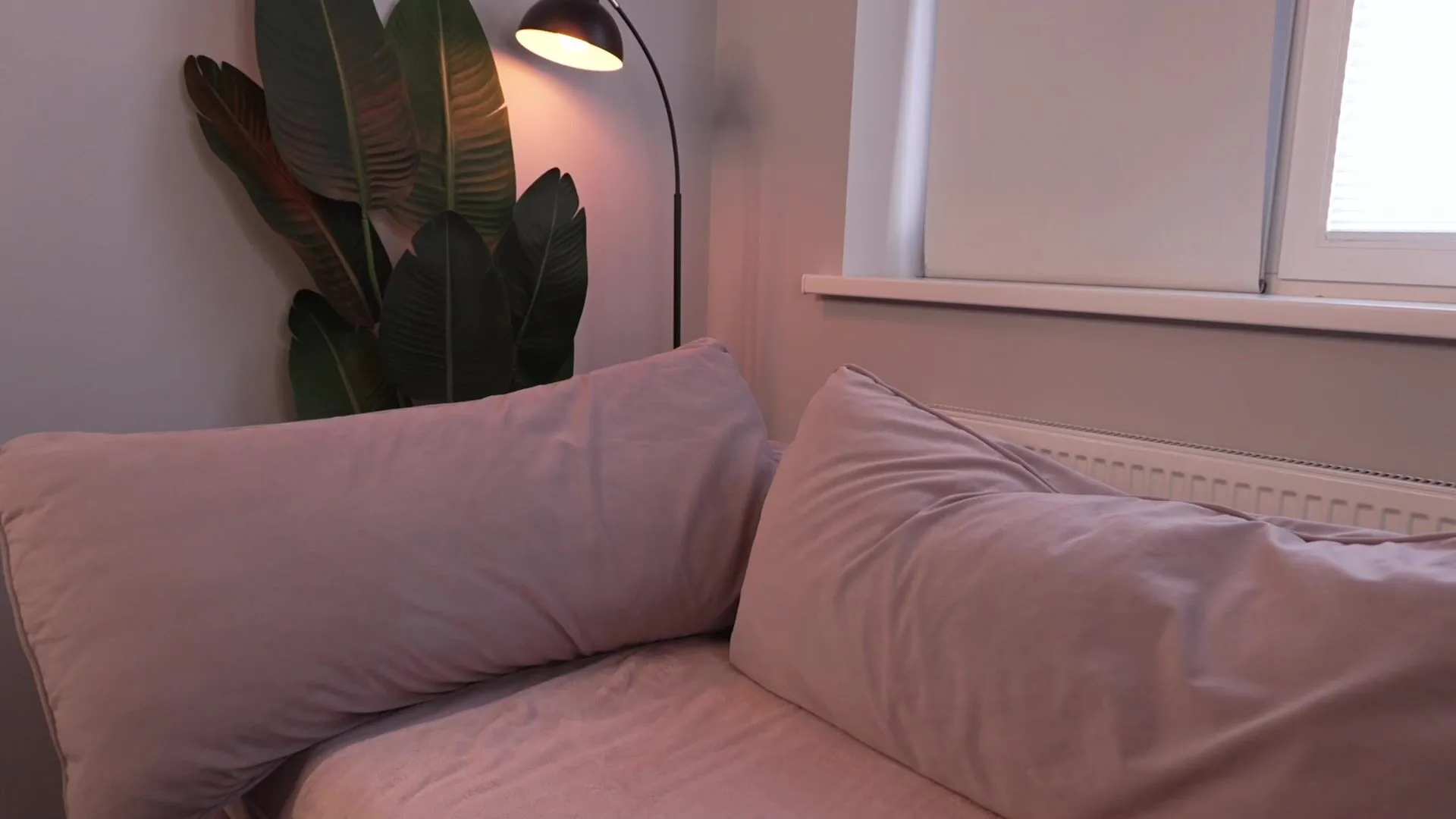 Toxl New Porn Video [Chaturbate] - redhead, beauty, teen, cute, pvt