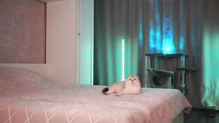 Watch black_soda Hot Porn Video [Chaturbate] - natural, shy, young, erotic, blonde