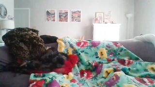 Watch handandfeetoflove Hot Porn Video [Chaturbate] - bj, goddess, madure, femdom, show