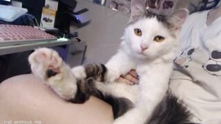 Watch theysaidimcute Camgirl Porn Video [Chaturbate] - sexy, cute, little, petite
