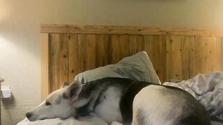 Watch hellokitten123 Leaked Porn Video [Chaturbate] - deep, chat, milkyboobs, mistress