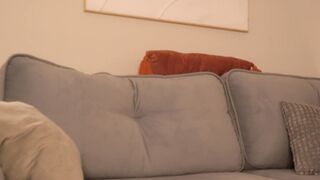 Watch qwelbi New Porn Video [Chaturbate] - new, young, 18, cute, bigboobs