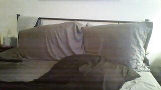 mngirlie Leaked Porn Video [Chaturbate] - biceps, pantyhose, leggings, handjob, dolce