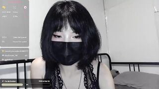kitty_krush Leaked Porn Video [Chaturbate] - new, lovense, asian, skinny, chatting