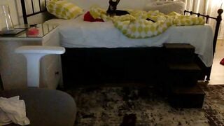 nancydrews5 Camgirl Porn Video [Chaturbate] - latina, horny, lonely, collegegirl, bored
