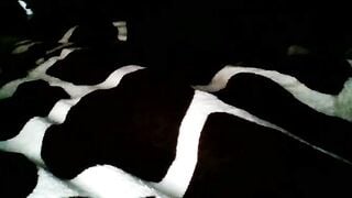 Watch baby1445666 New Porn Video [Chaturbate] - new, bigass, 18, squirt, petite