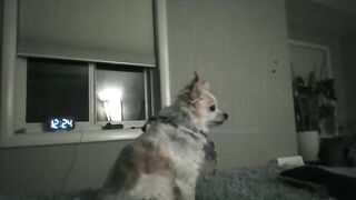 ko_rides Hot Porn Video [Chaturbate] - new, teacher, anal, squirt, slut