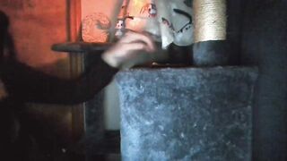 caityb1 Leaked Porn Video [Chaturbate] - foot, jerkoff, sissyfication, fetishes