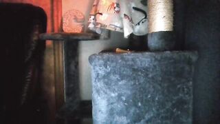 caityb1 Leaked Porn Video [Chaturbate] - foot, jerkoff, sissyfication, fetishes