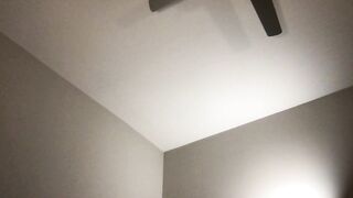 sophiebellexo Camgirl Porn Video [Chaturbate] - new, young, 18, brunette, teen