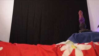 badlilbambi Camgirl Porn Video [Chaturbate] - new, anal, lovense, asian, petite