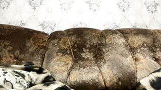 marquittamelia Hot Porn Video [Chaturbate] - new, natural, shy, 18, bigboobs