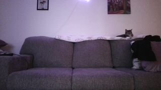 kira_the_slut New Porn Video [Chaturbate] - leche, latin, foot, facefuck