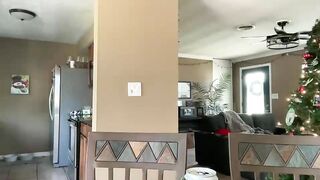 Watch flbeachbum96 New Porn Video [Chaturbate] - pvt, ginger, creampie, furry