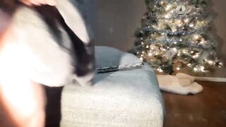 brunetteheadbaddie0 New Porn Video [Chaturbate] - browneyes, redhead, arab, blond