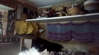 hoodoou New Porn Video [Chaturbate] - fucking, asmr, bigdildo, atm, piercings