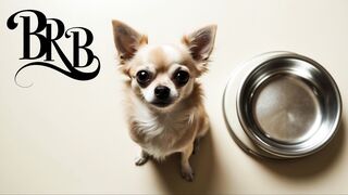 Watch nikkinotnicki00 Leaked Porn Video [Chaturbate] - showoil, dome, brunette, chill, friendly