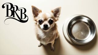 Watch nikkinotnicki00 Leaked Porn Video [Chaturbate] - showoil, dome, brunette, chill, friendly