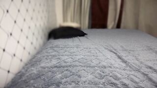 dan_feb New Porn Video [Chaturbate] - young, pinay, asian, skinny, petite