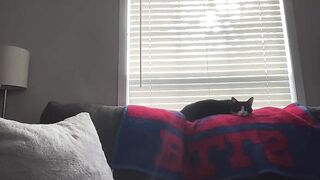 Watch sammieplays New Porn Video [Chaturbate] - new, pawg, anal, slut, petite