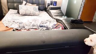 Watch alaia_soul_ New Porn Video [Chaturbate] - shavedpussy, bbc, boob, sissyfication, spank