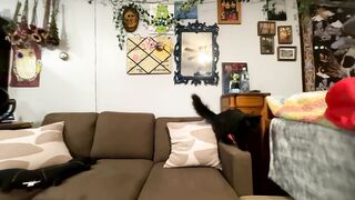 Watch stonedtemptation Camgirl Porn Video [Chaturbate] - toyplay, pussyplay, blowjob, cei