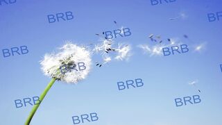 lara_fisher New Porn Video [Chaturbate] - tease, private, mature, lovense, bigboobs