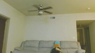 lustfullives Camgirl Porn Video [Chaturbate] - anal, 18, cock, muscleworship, fun