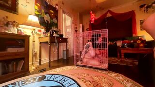 rachel010101 Hot Porn Video [Chaturbate] - sexytits, striptease, bigclit, teens