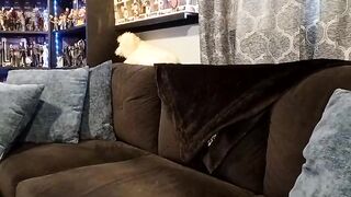 Watch jeannie_69_andahalf Hot Porn Video [Chaturbate] - striptease, lovenselush, home, ass