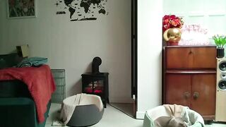 jaycat73 Camgirl Porn Video [Chaturbate] - sexydance, hairyarmpits, lovense, hitachi, rollthedice