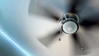 Watch katya918 Leaked Porn Video [Chaturbate] - ass, teen, curve, smallcock