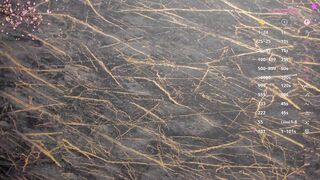 belle_emmanuelle Camgirl Porn Video [Chaturbate] - twogirls, beautiful, madure, dp, daddysgirl