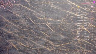 belle_emmanuelle Camgirl Porn Video [Chaturbate] - twogirls, beautiful, madure, dp, daddysgirl