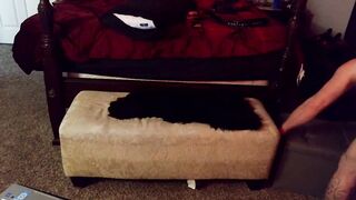 Watch kiki_and_daddy_ Camgirl Porn Video [Chaturbate] - swim, queen, oilyshow, athletic