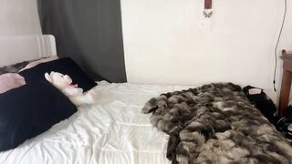 babykendallxo New Porn Video [Chaturbate] - pussy, 18, brunette, nude, teen