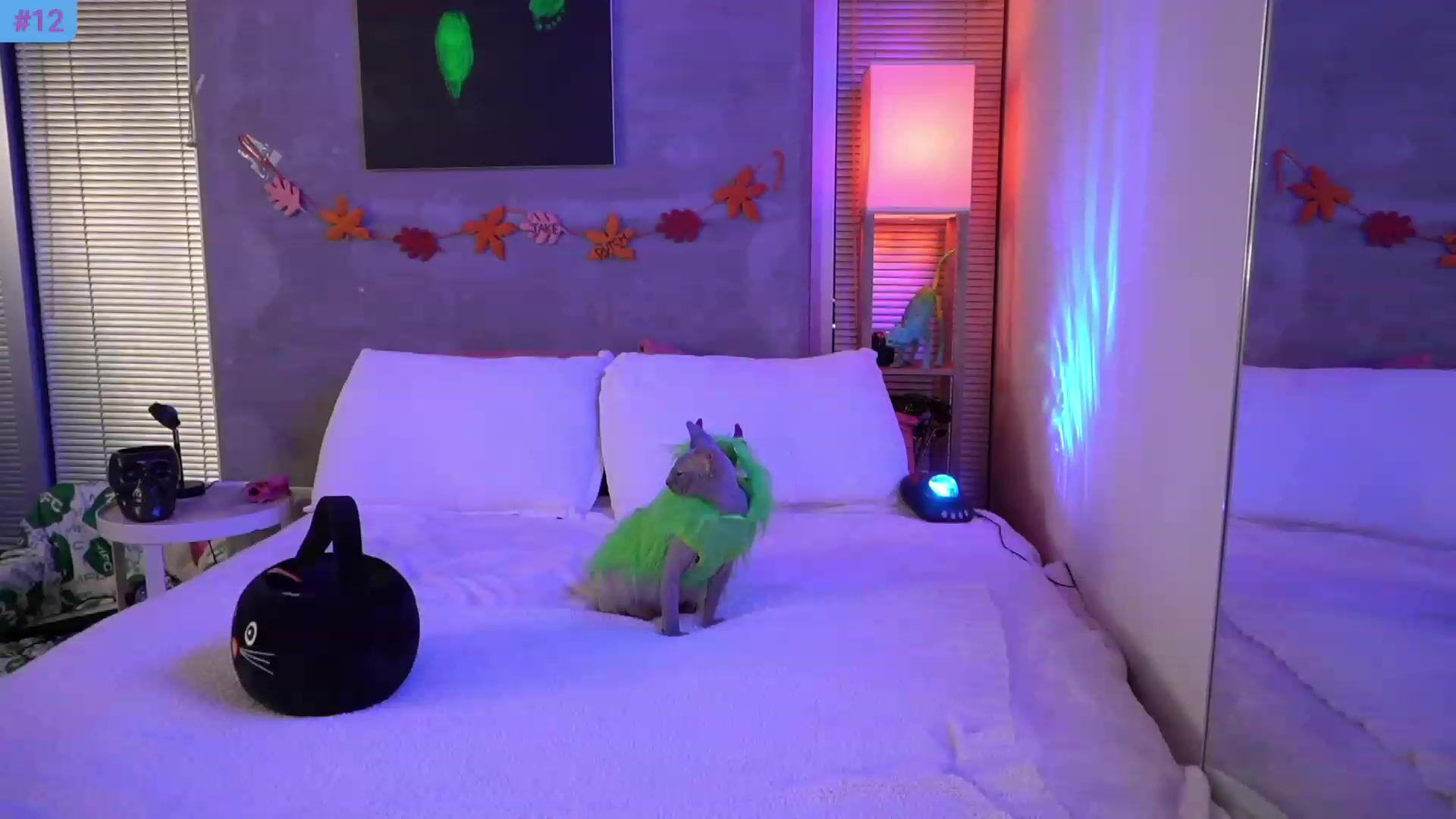Watch Snowkitty Porn Hot Videos [MyFreeCams] - fun, classy, new model,  blonde, lingerie