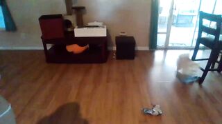 Watch pixietalez Porn Private Videos [Chaturbate] - biglegs, smoke, sex, thighs