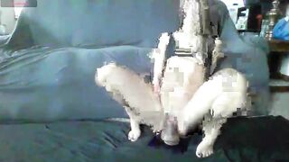 Watch classysassy8 Webcam Porn Video [Chaturbate] - skinnybody, milk, curvy, kisses, panty